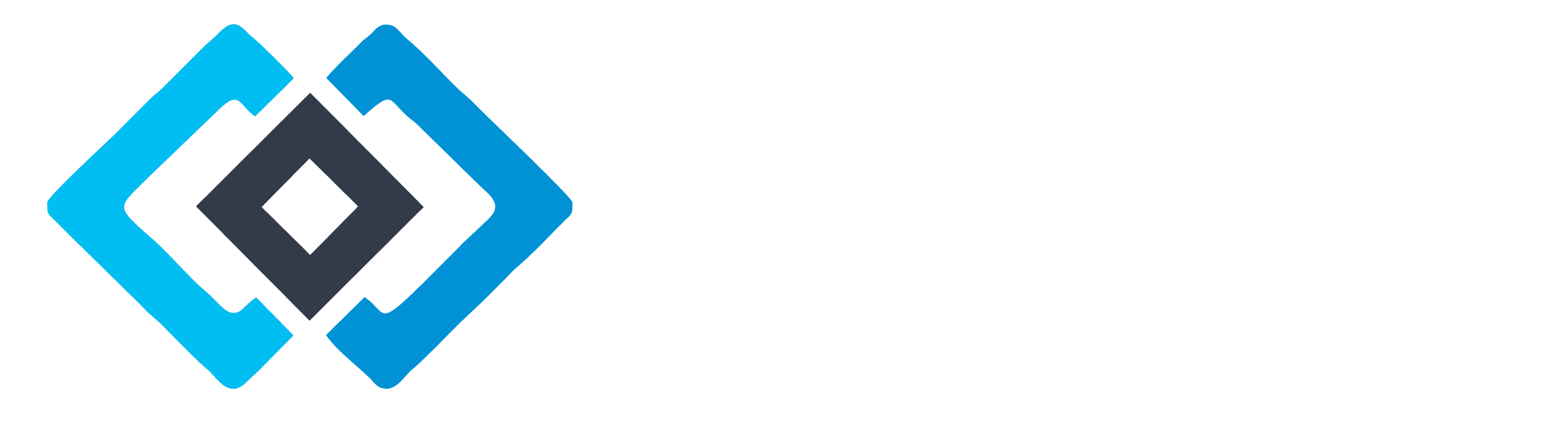 CAM Steel